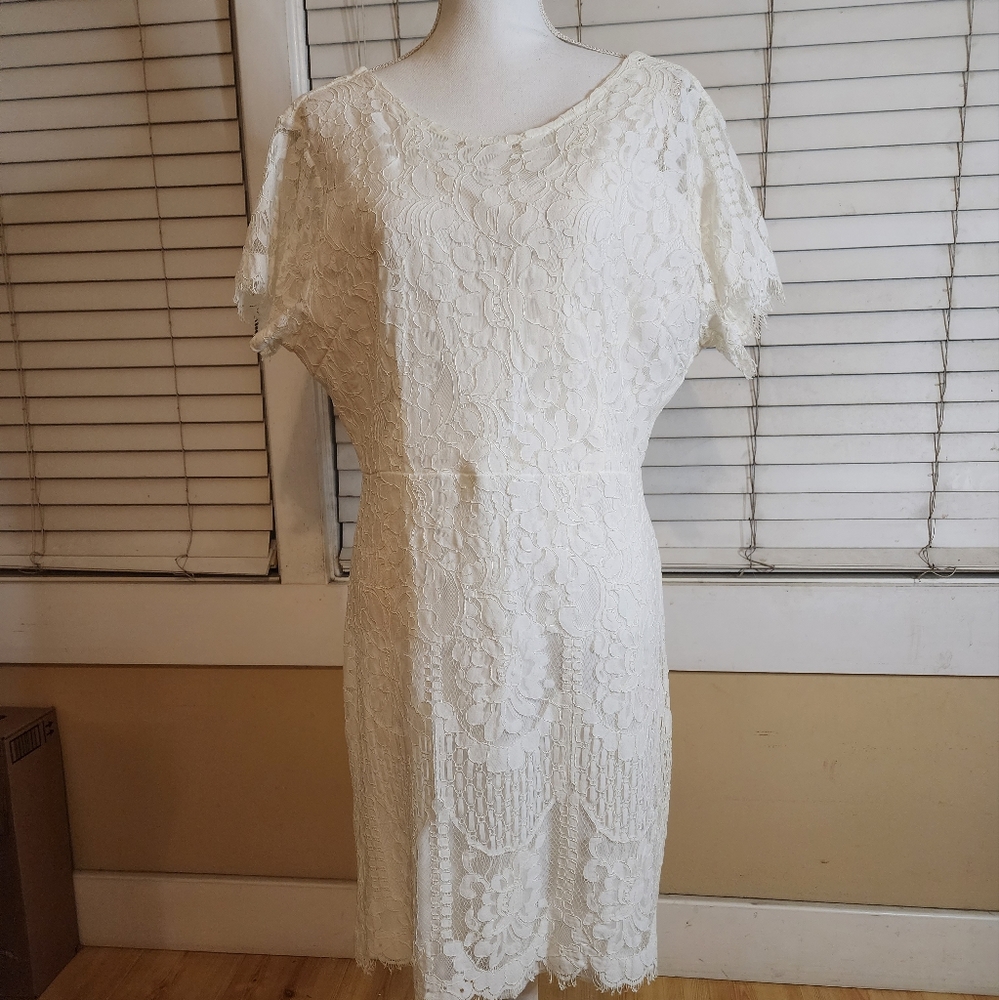 MSLG Womens Floral Lace Overlay Dress - Picture 12 of 14